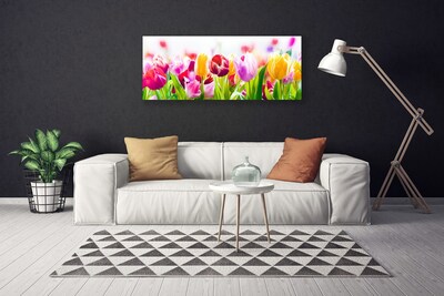 Foto slika na platnu Tulipani Cvijeće