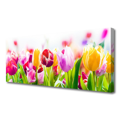 Foto slika na platnu Tulipani Cvijeće