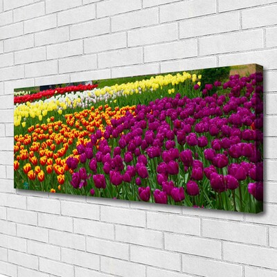 Slika canvas Tulipani Cvijeće