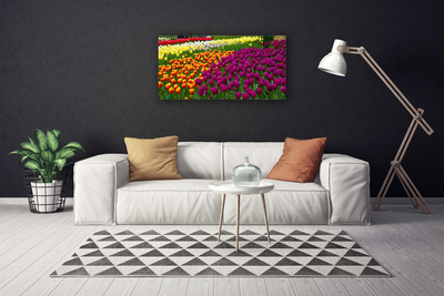 Slika canvas Tulipani Cvijeće