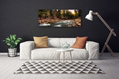 Slika canvas Šumsko jezero Priroda Voda