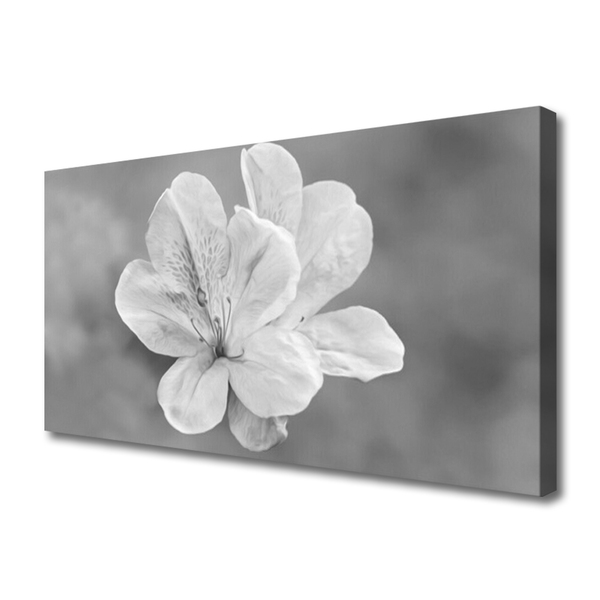 Fotografija na canvas platnu Biljka cvijeća