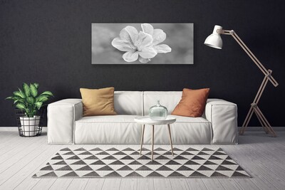 Fotografija na canvas platnu Biljka cvijeća