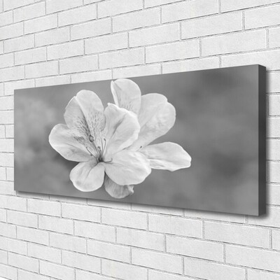 Fotografija na canvas platnu Biljka cvijeća