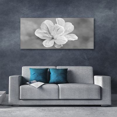 Fotografija na canvas platnu Biljka cvijeća