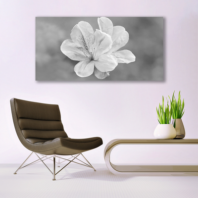 Fotografija na canvas platnu Biljka cvijeća