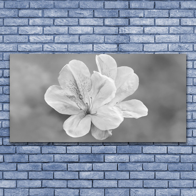 Fotografija na canvas platnu Biljka cvijeća