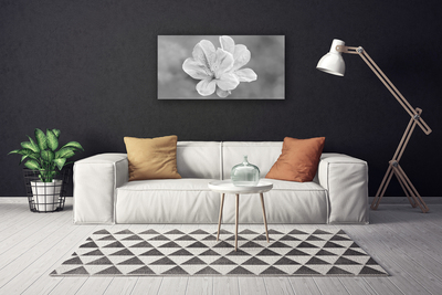 Fotografija na canvas platnu Biljka cvijeća