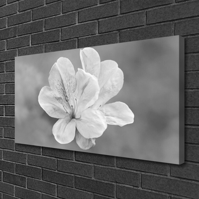 Fotografija na canvas platnu Biljka cvijeća
