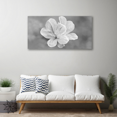 Fotografija na canvas platnu Biljka cvijeća