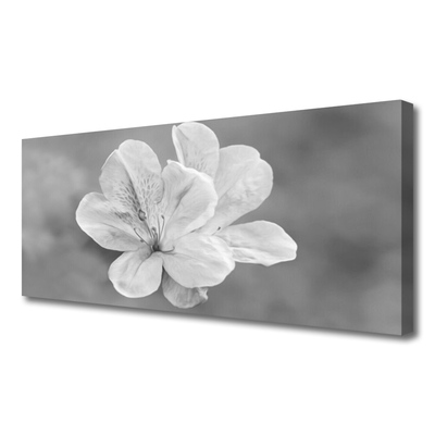 Fotografija na canvas platnu Biljka cvijeća