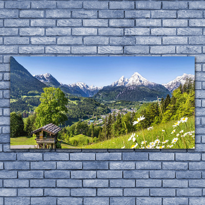 Foto slika na platnu Planina Pola Priroda