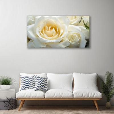 Fotografija na canvas platnu Ruže Cvijeće
