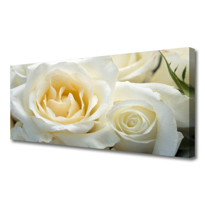 Fotografija na canvas platnu Ruže Cvijeće