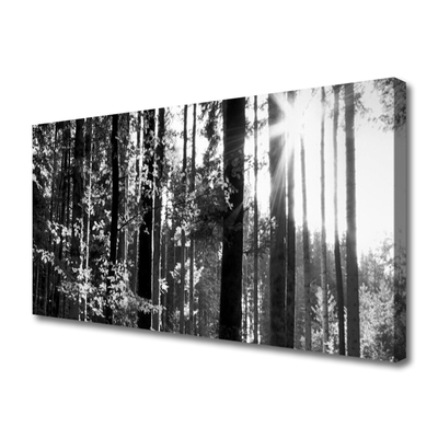 Foto slika na platnu Šumska priroda Drveće