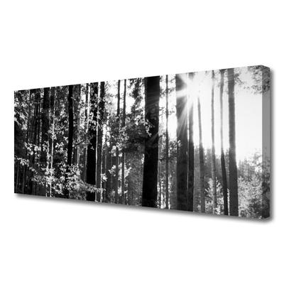 Foto slika na platnu Šumska priroda Drveće