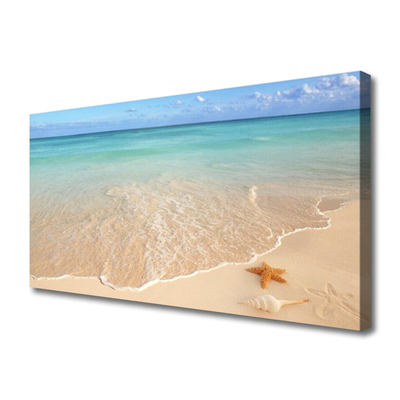 Foto slika na platnu Pejzaž morske zvijezde na plaži