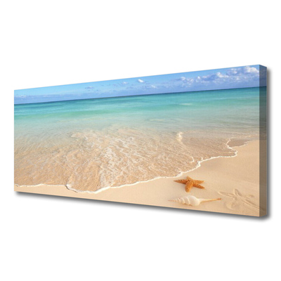 Foto slika na platnu Pejzaž morske zvijezde na plaži