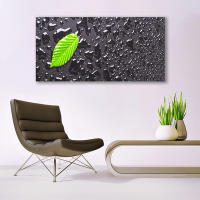 Slika na platnu Leaf Drops Art