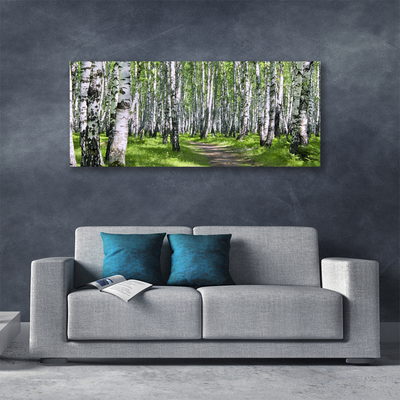 Slika canvas Šumska staza Priroda Drveće
