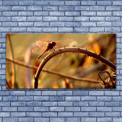 Foto slika na platnu Dragonfly Nature Plant