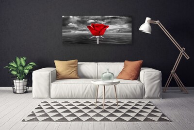 Foto slika na platnu Rose Flower Plant More