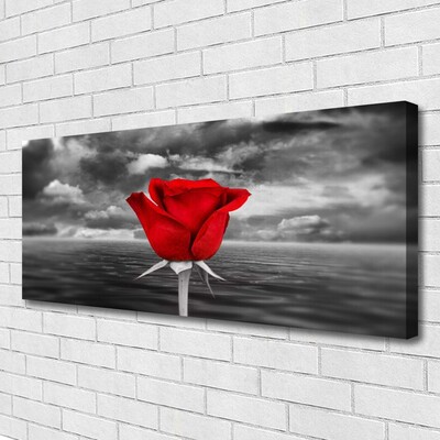 Foto slika na platnu Rose Flower Plant More