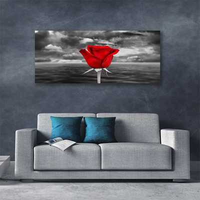 Foto slika na platnu Rose Flower Plant More
