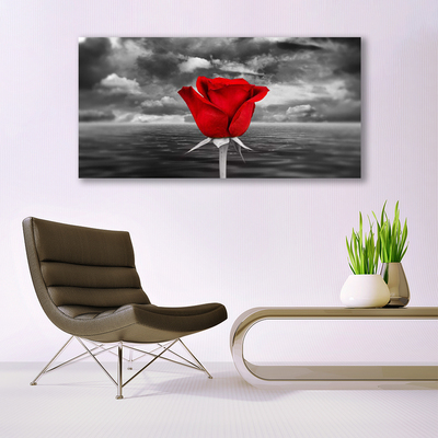 Foto slika na platnu Rose Flower Plant More