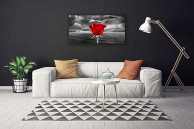 Foto slika na platnu Rose Flower Plant More