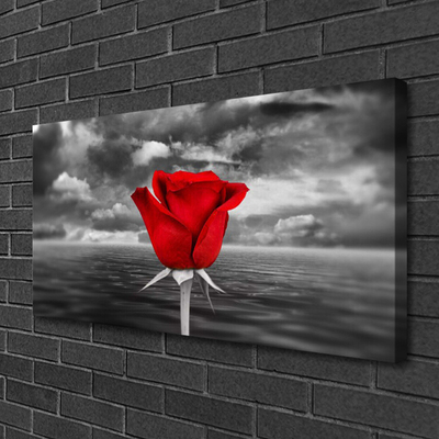 Foto slika na platnu Rose Flower Plant More