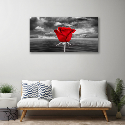 Foto slika na platnu Rose Flower Plant More