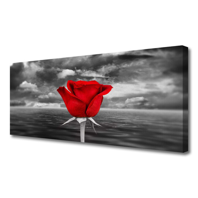 Foto slika na platnu Rose Flower Plant More