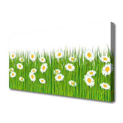 Slika na platnu Grass Daisies Priroda