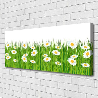 Slika na platnu Grass Daisies Priroda