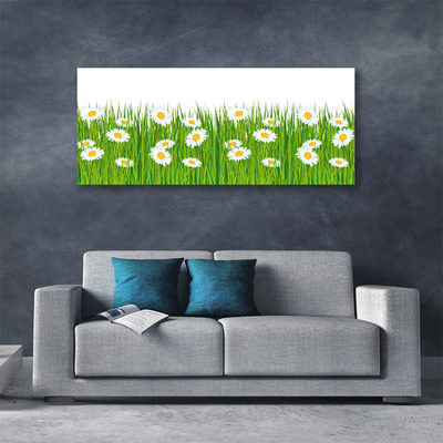 Slika na platnu Grass Daisies Priroda