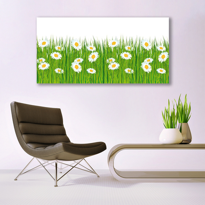 Slika na platnu Grass Daisies Priroda