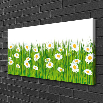 Slika na platnu Grass Daisies Priroda