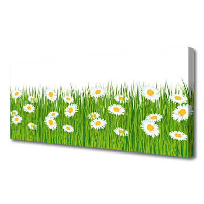 Slika na platnu Grass Daisies Priroda