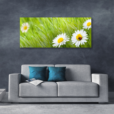 Foto slika na platnu Grass Daisies Priroda