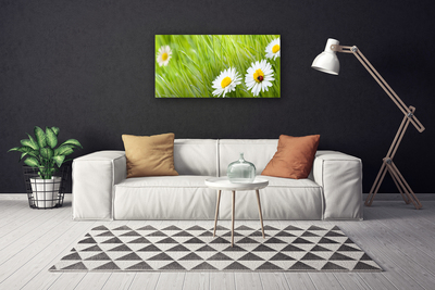 Foto slika na platnu Grass Daisies Priroda