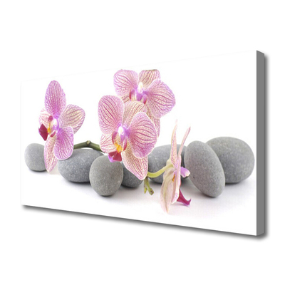 Slika canvas Tree Stones Plant