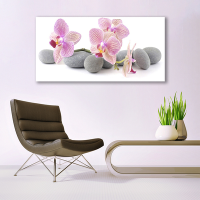 Slika canvas Tree Stones Plant