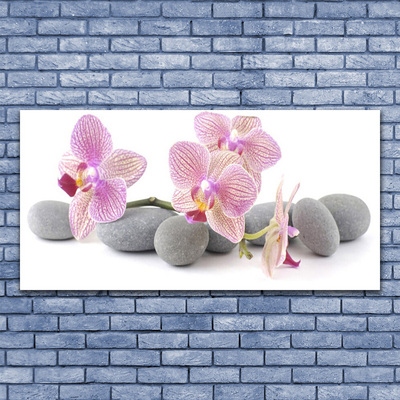 Slika canvas Tree Stones Plant