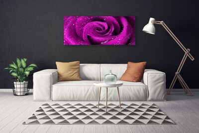 Foto slika na platnu Rose Flower Biljna priroda