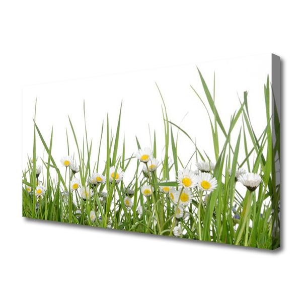 Slika canvas Grass Daisies Priroda