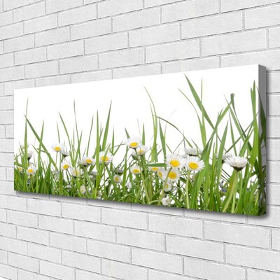 Slika canvas Grass Daisies Priroda