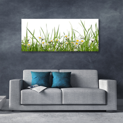 Slika canvas Grass Daisies Priroda