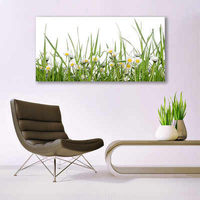 Slika canvas Grass Daisies Priroda