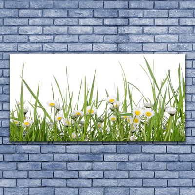 Slika canvas Grass Daisies Priroda